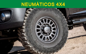 Neumáticos 4x4