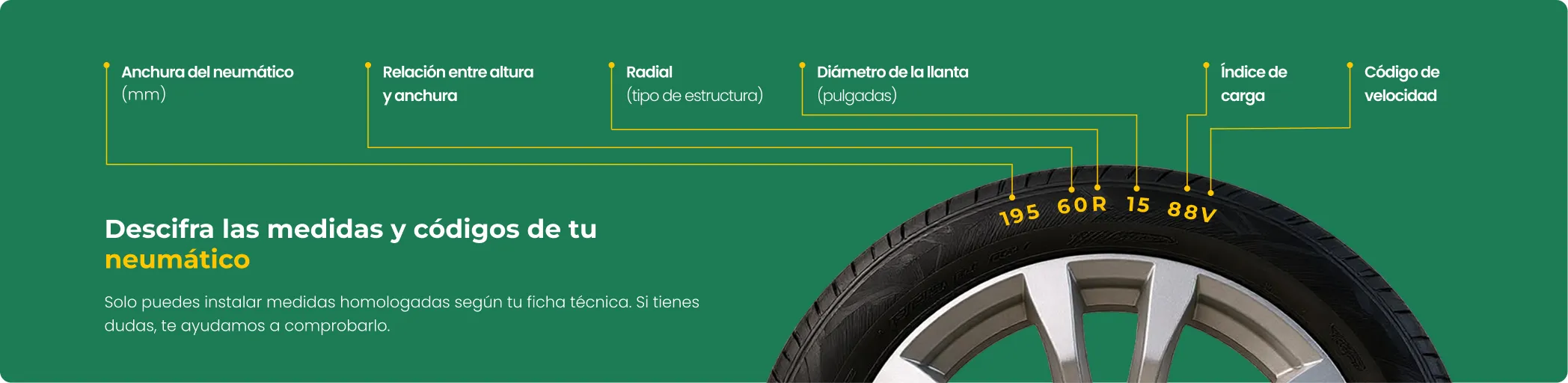 Cómo elegir un neumático