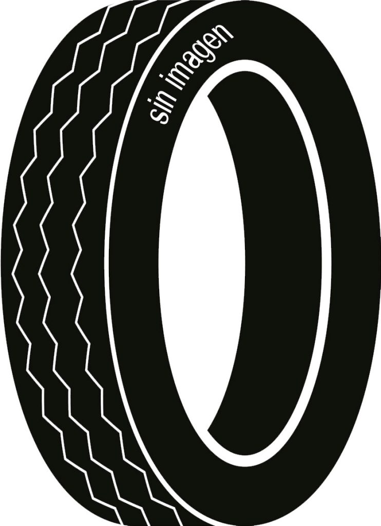 BestDrive  205/65R16C 107/105T (103T) VAN SUMMER 8PR | Taller barato