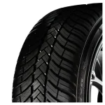 Avon All season 215/60 R17 100H | Taller barato