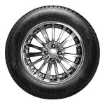 Nexen N´blue 4season 225/60 R18 104V | Taller barato