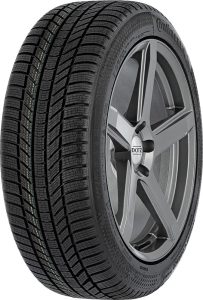 Continental Wintercontact ts 870 p 225/55 R17 101V | Taller barato