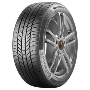 Continental Wintercontact ts 870 p 225/55 R16 95H | Taller barato