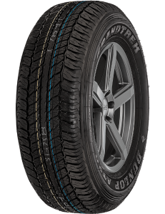 Dunlop At20 grandtrek 245/70 R16 111S | Taller barato