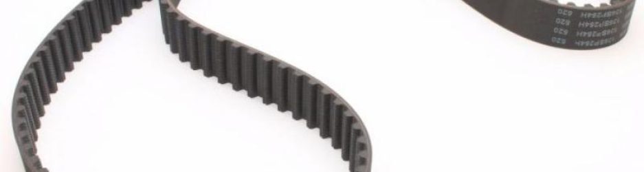 correa-distribucion-1